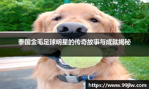 泰国金毛足球明星的传奇故事与成就揭秘